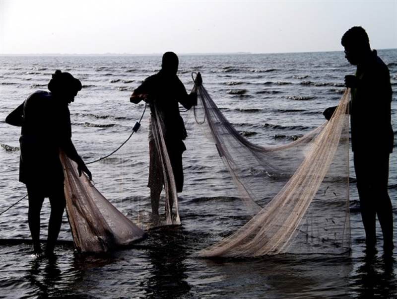 انجام ۷۰ درصد صید ماهی تن در سیستان و بلوچستان/ روسیه طالب محصولات آبزی ایران