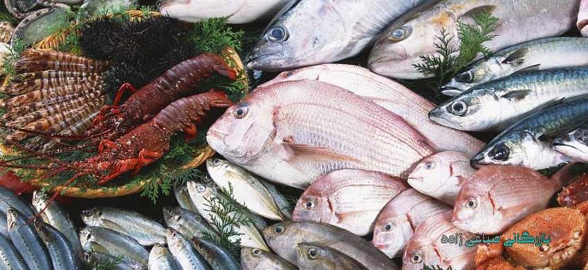 صادرات ۱۶۰۰ تن انواع آبزیان از زنجان طی سال گذشته