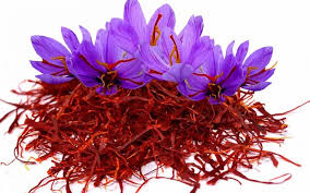 پیش بینی رشد۳۰ درصدی تولید زعفران/صادرات ۲۵ درصد افزایش یافت

