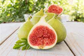 دولت محصول صادراتی انجیر ایران را دریابد